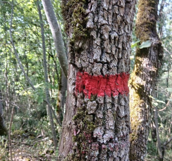 Croix du Picon et boucle du Mont Picon Garros - Gourdan-Polignan - 1