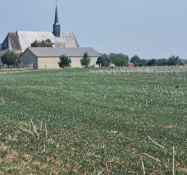 Brévainville-Romilly-Ouzouer - Ouzouer-le-Doyen - 1