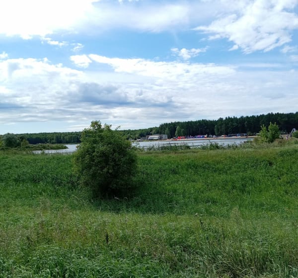 Lasy i pola - Białystok - 1