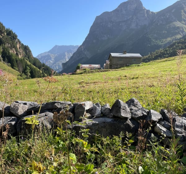 Alpage du Ritord en boucle - Pralognan-la-Vanoise - 1