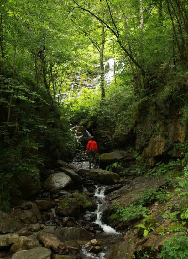 Passerelle d'Holzarté et émerveillement au-dessus des gorges - Larrau - 1