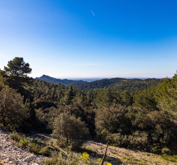 Plateau de la Caume et massif des Alpilles depuis Saint-Rémy-de-Provence - Decathlon - 1