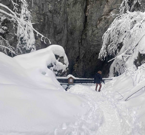 Les pépites de Correncon en Vercors - Jean-marie - 1