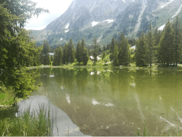 Lacs du Taillefer et paysages de carte postale - Livet-et-Gavet - 1
