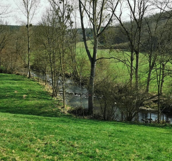 Sentier des moulins - Jean-Robert - 1