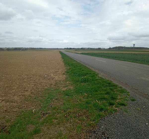 Bois du Crêt - YVES - 1