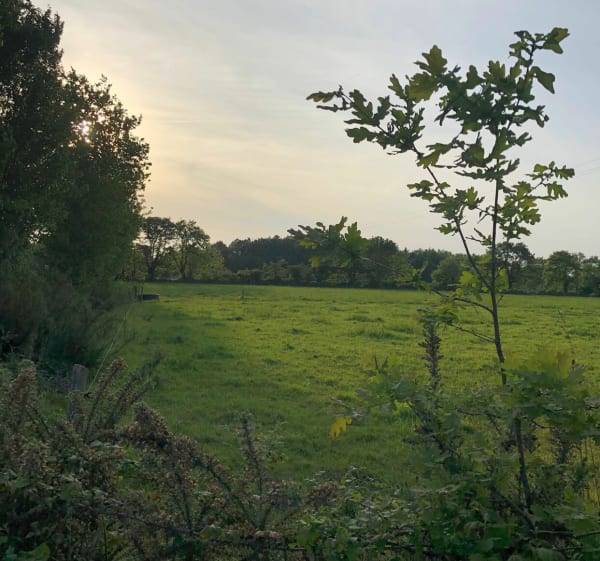 Balade à vélo dans les petits villages Mouilleronais - Clemence - 1