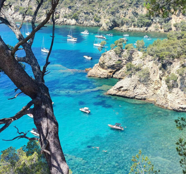 Sentier littoral de Bandol à Port d'Alon - Bandol - 1