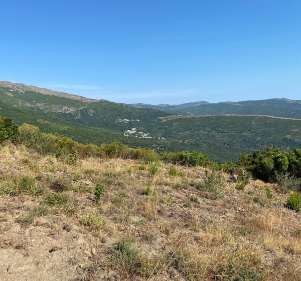 Cagnano Pietra petite boucle du Cap Corse - Cagnano - 1