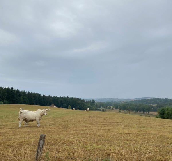 Lapalisse et ses campagnes. - Isa - 1
