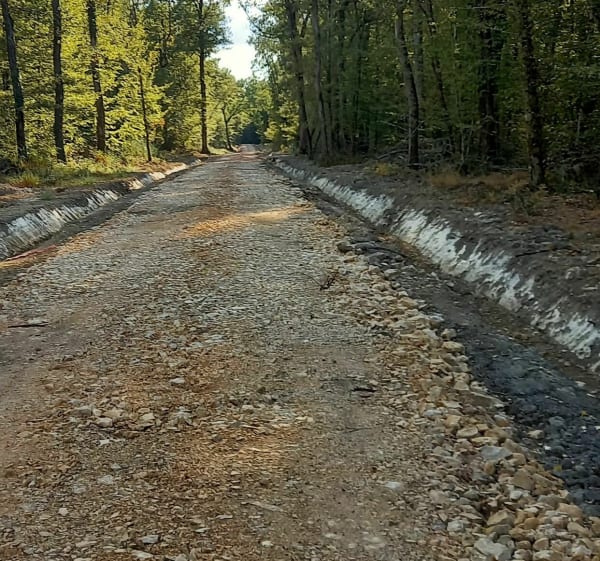Sortie à la découverte de la forêt de Montech - Montech - 1