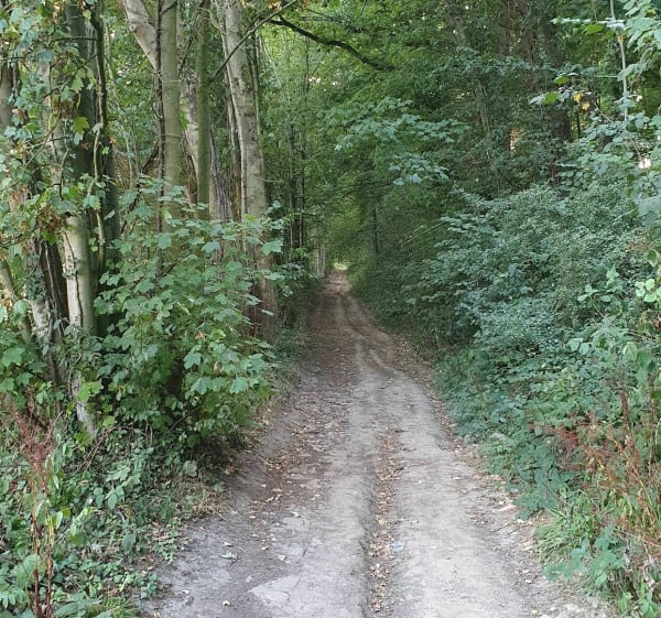 Boucle VTT entre les champs et le Bois de Bourlon - Corentin - 1