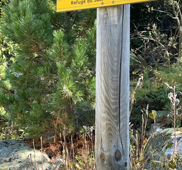 Balade familiale au refuge du plan (chien autorisé) - Les Allues - 1