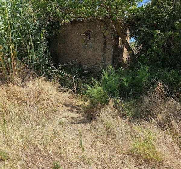 Balade entre vigne et garrigue - Sebastien - 1