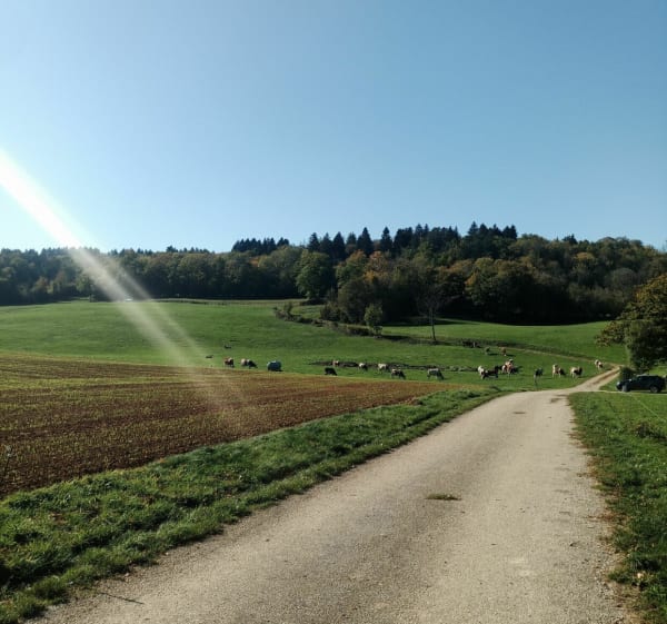 Entre bois et vallée à Beaufort - Jacky - 1