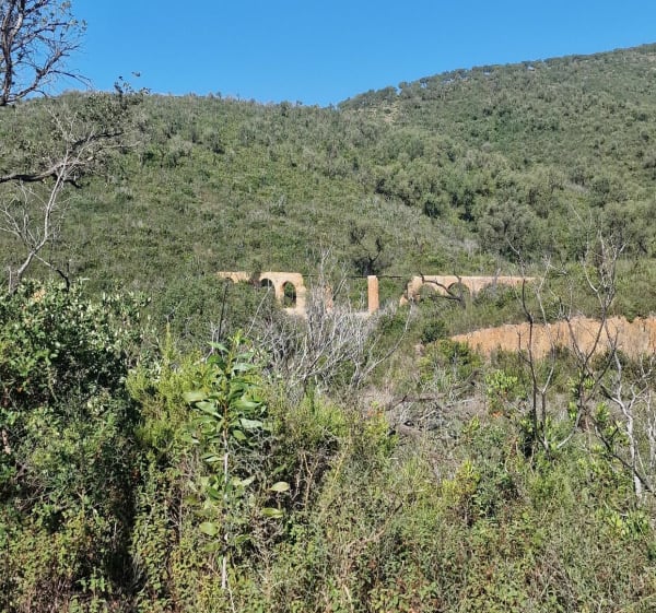 Entre terre et mer, du côté de Bregancon - Bormes-les-Mimosas - 1
