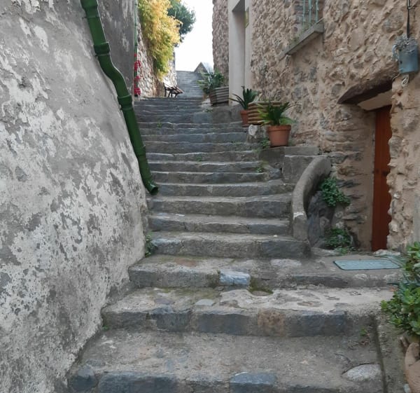 Palalda et sa montagne - Amélie-les-Bains-Palalda - 1