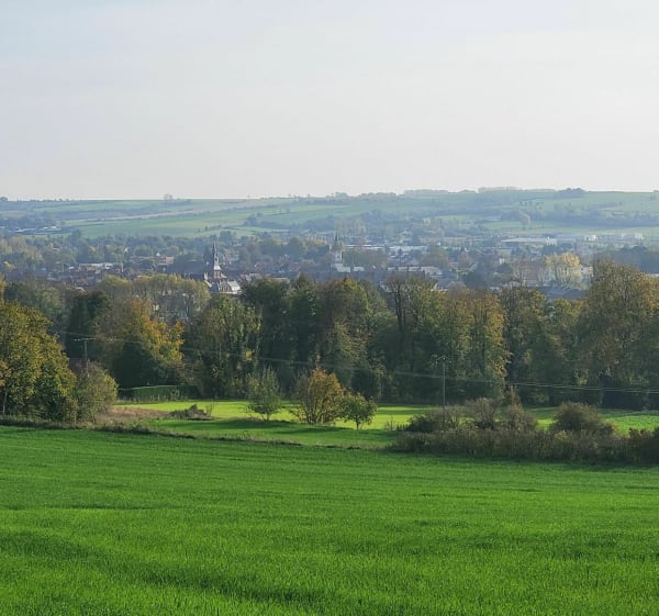 Le sentier de la Ternoise en variante période de chasse, dans la forêt d'Hesdin - Hesdin - 1