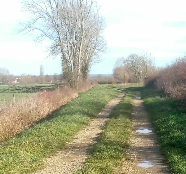 Boucle Le Tartre Cosges par la plaine - Maryline - 1