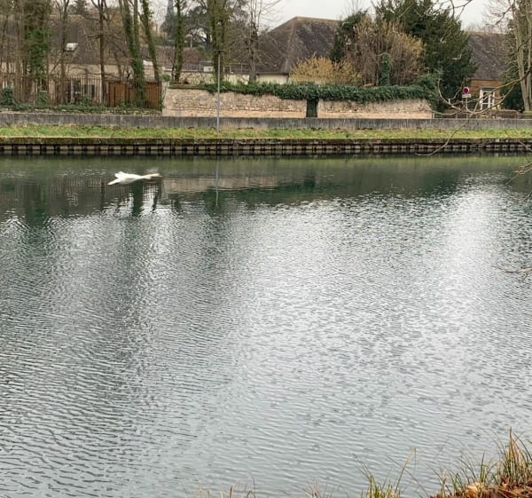 Balade dans la campagne et au bord du canal le Loing - Magali - 1