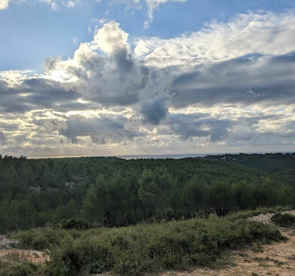 Balade jusqu'à Grand Méjean - Ensuès-la-Redonne - 1