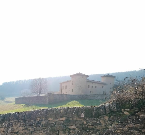 Découverte des alentours de Cogny - Alexandre - 1