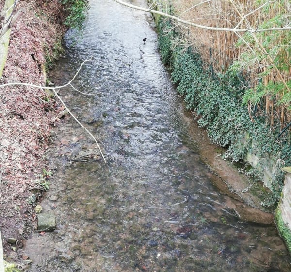 Balade à VTC  sur les chemins des collines de l'Artois - Anaïs - 1