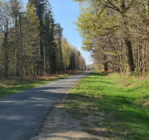 Détours en forêt d'Orléans - Matthieu - 1