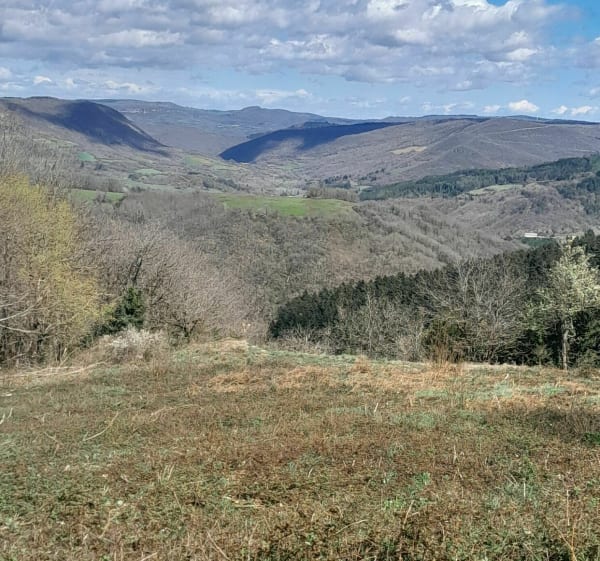 Forêt domaniale des Monts-d'Orb - Jean luc - 1