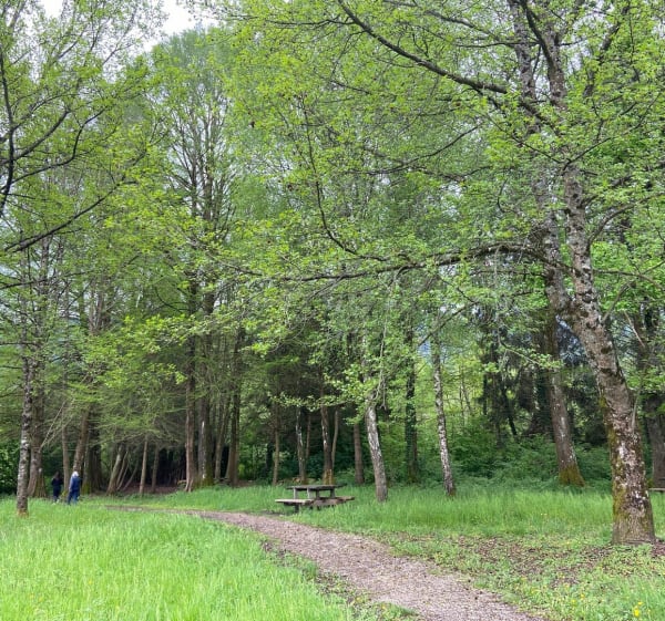Balade confort autour du Lac St-Hélène et Prés Marais Villaroux - Sainte-Hélène-du-Lac - 1