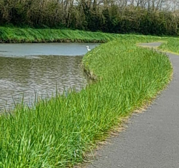 Entre Montbouy et Chatillon-Coligny à Vélo - Delphine - 1