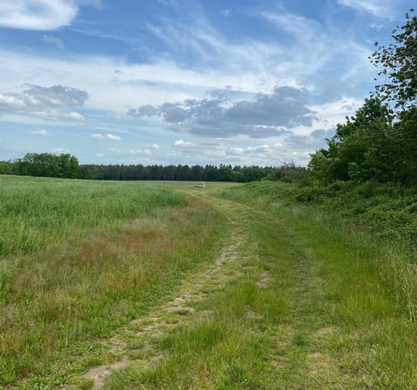 Sortie VTT autour du Pont-Chrétien par le Bois Bruly et de Chabenet - Yannick - 1