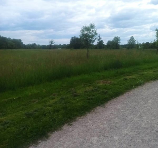 Les Cordeliers au départ de l’île de la Ronde - Lindsey - 1
