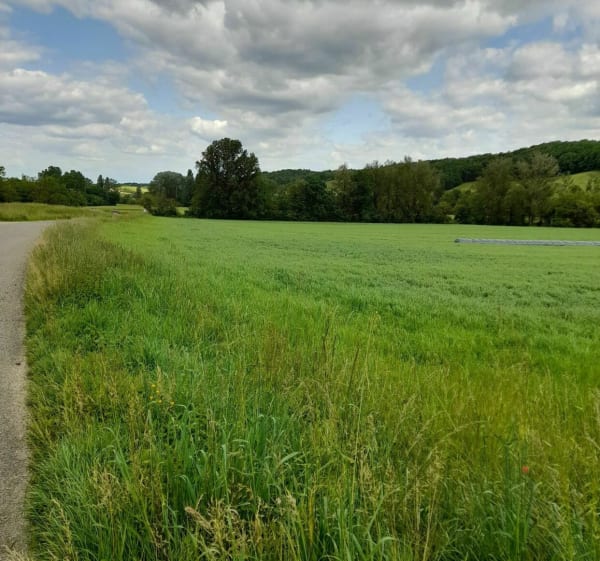 Sortie vallonnée des Antounes près de Montauban - LUCIE - 1