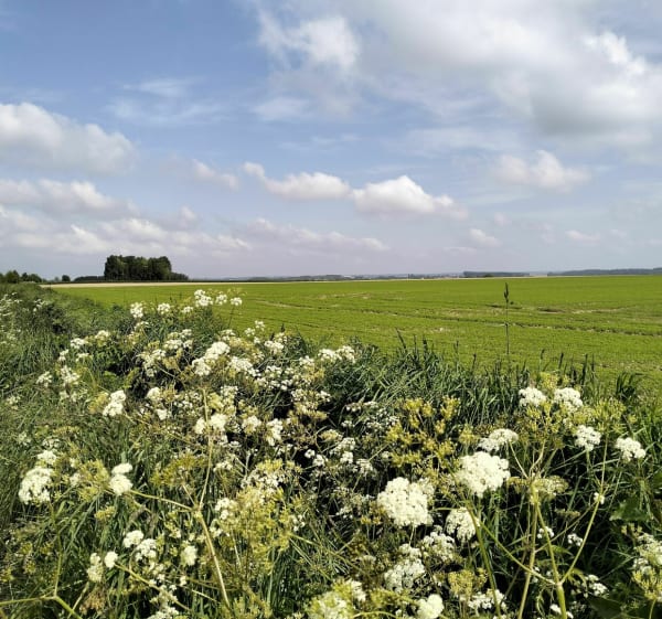 Sentier des Batailles à Thérouanne - Fabienne - 1