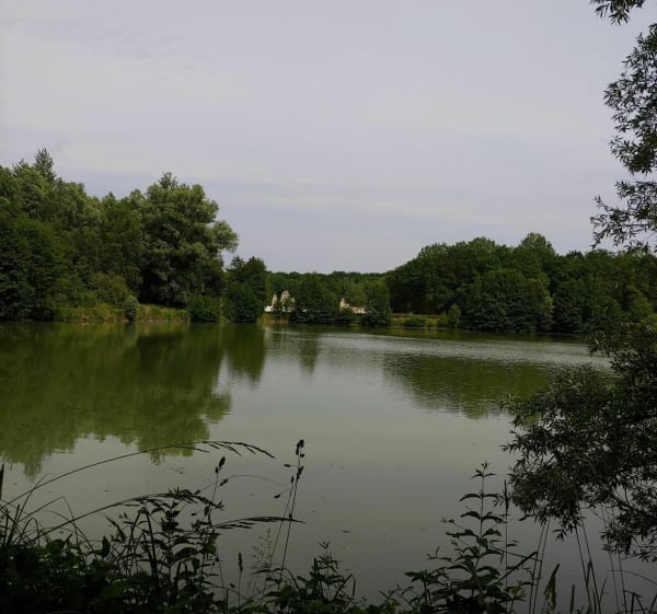 Forêt de Vauclair par Bois Balet et Saint Victor - Martine - 1