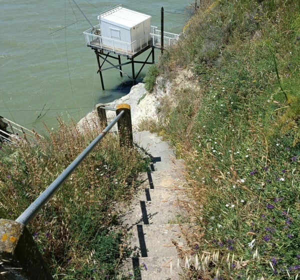 Balade sur le port et la corniche de Meschers-sur-Gironde - Meschers-sur-Gironde - 1