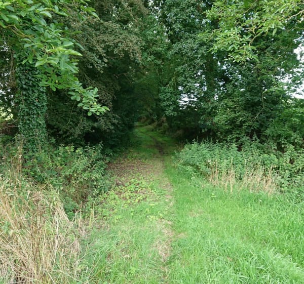 Autour de Ploumilliau - Jean-Marie - 1
