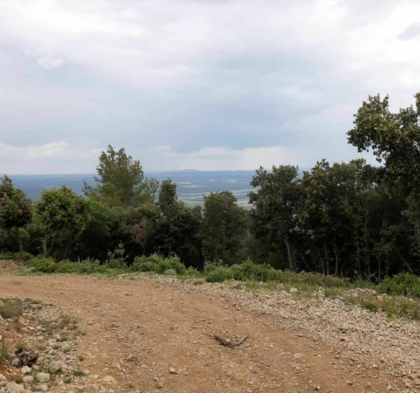 Randonnée en Forêt de Pélicier - Col de la Mort d'Imbert - Gabriel - 1