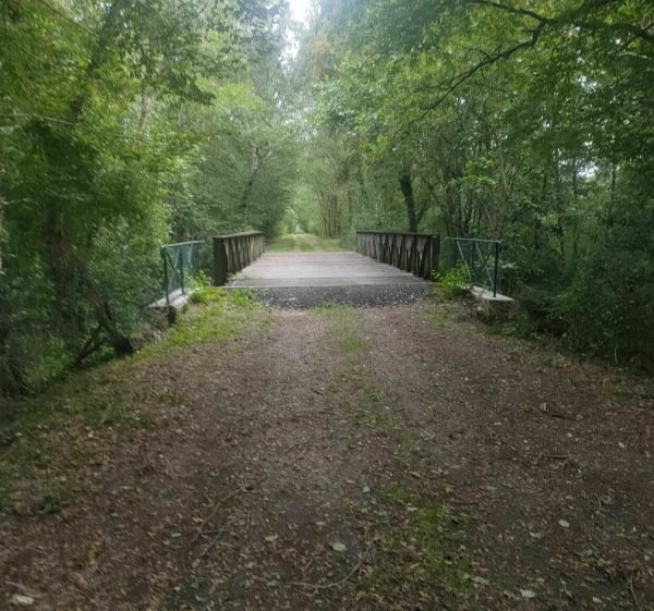 Balade des ponts à Souesmes - Amélie - 1