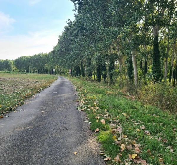 Entre champ et rivière à Lamonzie-Saint-Martin - Sabrina - 1