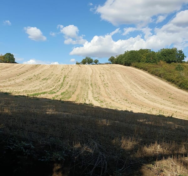 Entre coteaux et rivière du Tarn - David - 1