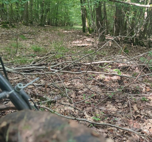 Off road secteur Mackwiller-Adamswiller - Ludo - 1