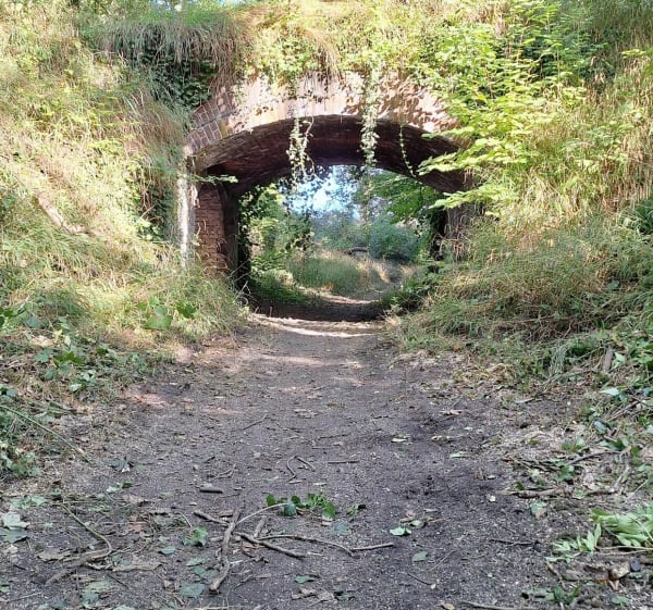 Parcours pour cycliste confirmé autour de L'étang de Chabaud Latour - Kevin - 1