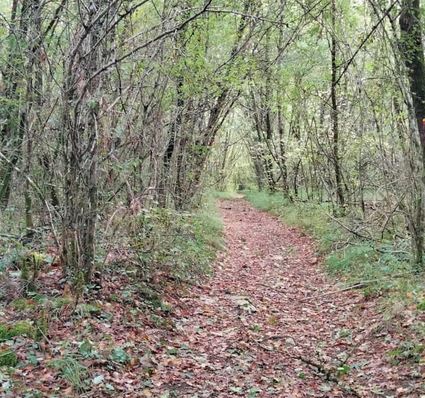 Vallée de la Boëme - VALERIE - 1