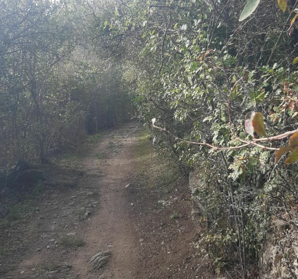 Sortir VTT dans les coteaux du Lyonnais - Pierre-yves - 1