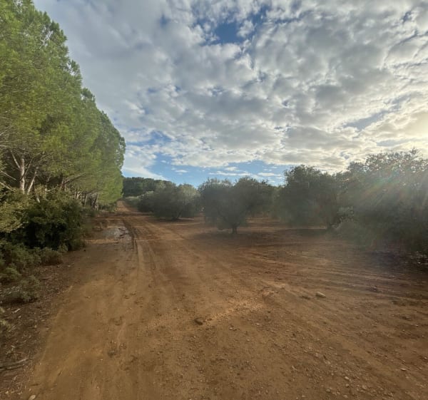 Beau parcours sportif VTT/Gravel entre Miramas et Cornillon - Jean Francois - 1