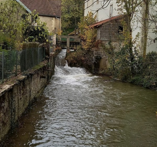 Sortie VTT dans les bois de Tellecey vers un chêne remarquable. - Christian - 1