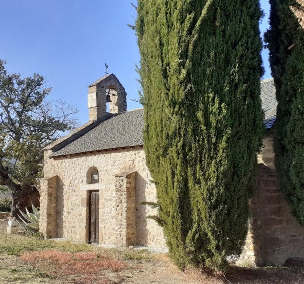 Autour de l'abbaye de Saint Michel de Cuxa - Olivier - 1