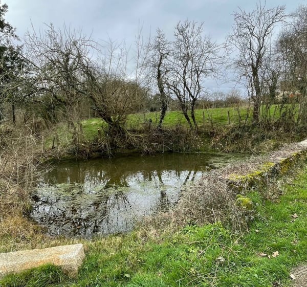 Boucle des Thuizards au départ de l’église de Louroux-de-Bouble - Pascal - 1